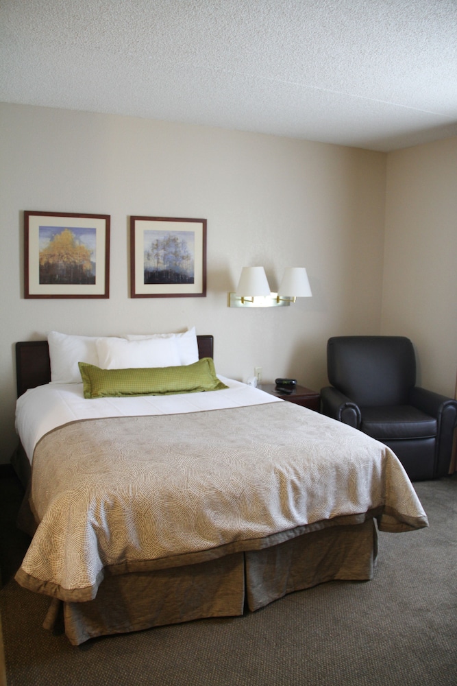 Studio Suite - Photo 2