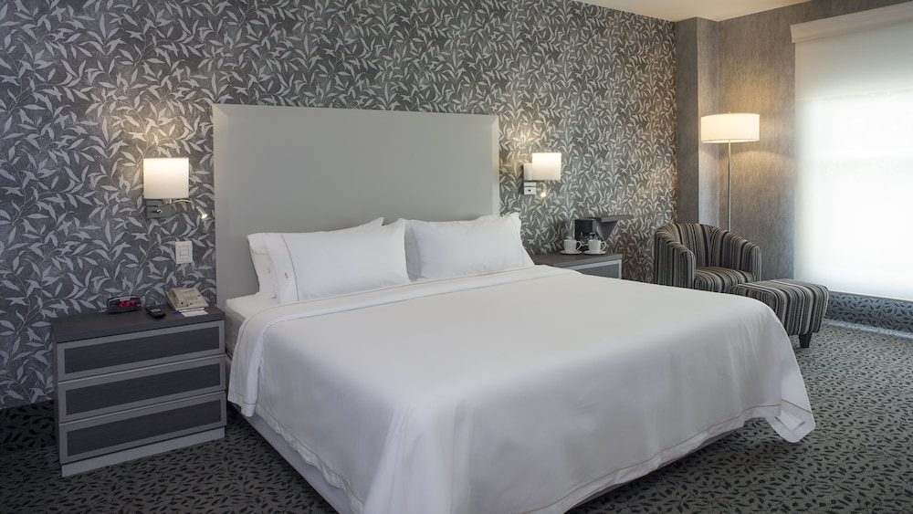 Standard Room, 1 King Bed, Accessible (Roll-In Shower) photo 3