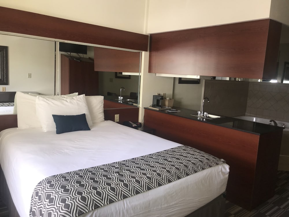 Studio Suite, 1 Queen Bed, Jetted Tub photo 1