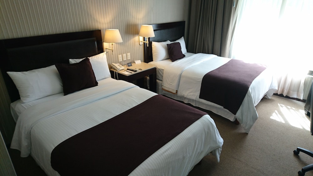 Executive Double Room photo 1