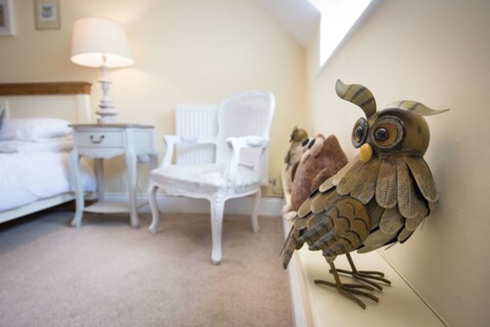 Luxury Room (Owl) photo 2