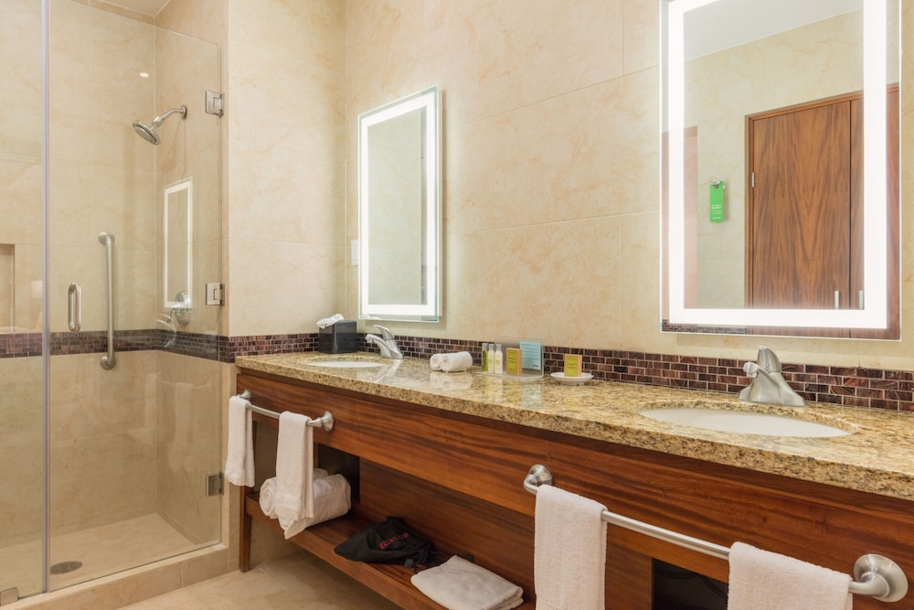 Suite, 1 King Bed, Non Smoking (wet Bar)