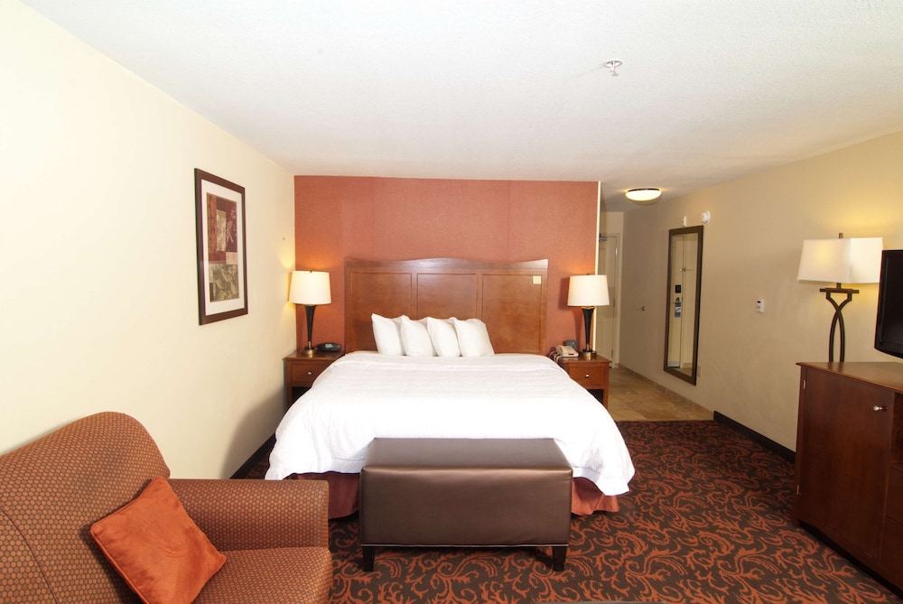 Room, 1 King Bed, Non Smoking - Photo 4