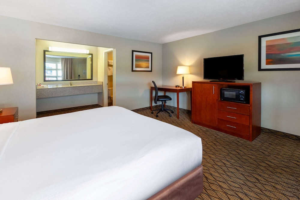 Standard Room, 1 King Bed, Courtyard View photo 3