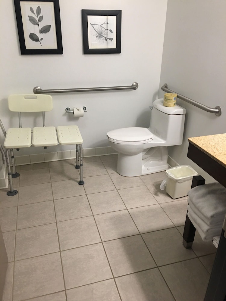 Studio Suite, 1 King Bed, Accessible, Non Smoking (Roll-in Shower) - Photo 8