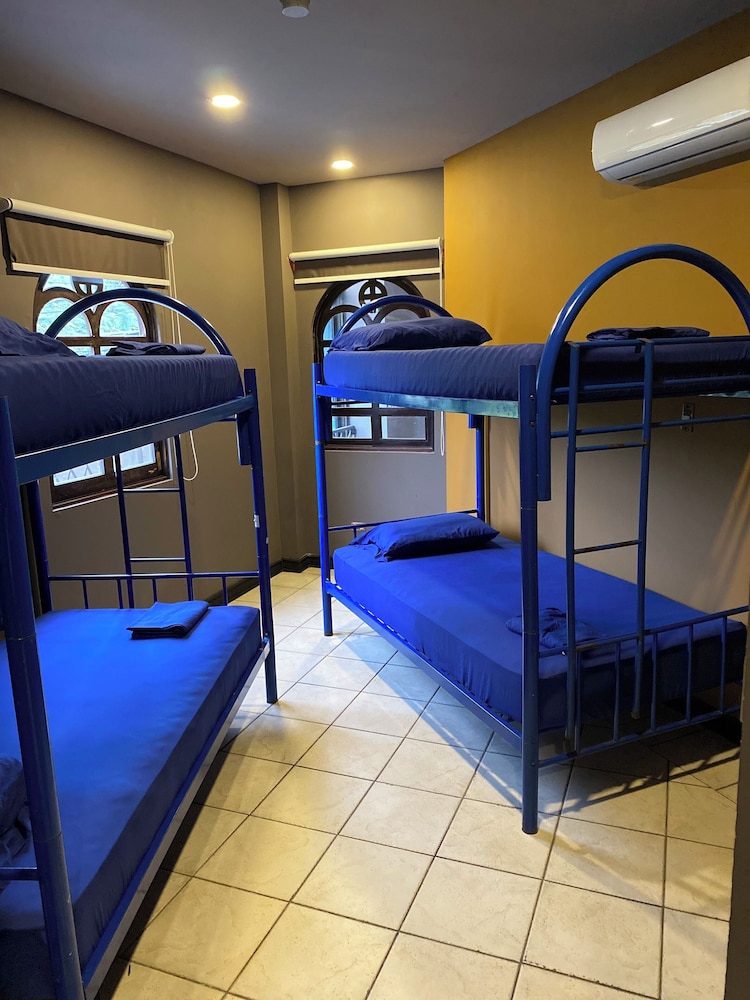 Bed in 4-Bed Mixed Dormitory Room photo 1