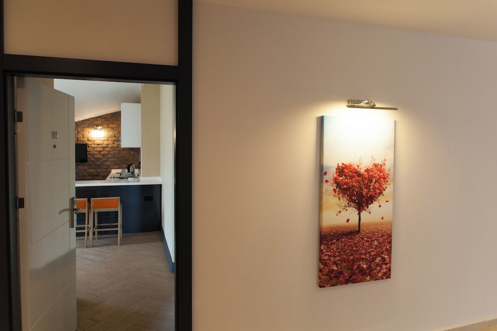 1+1 Superior Suite