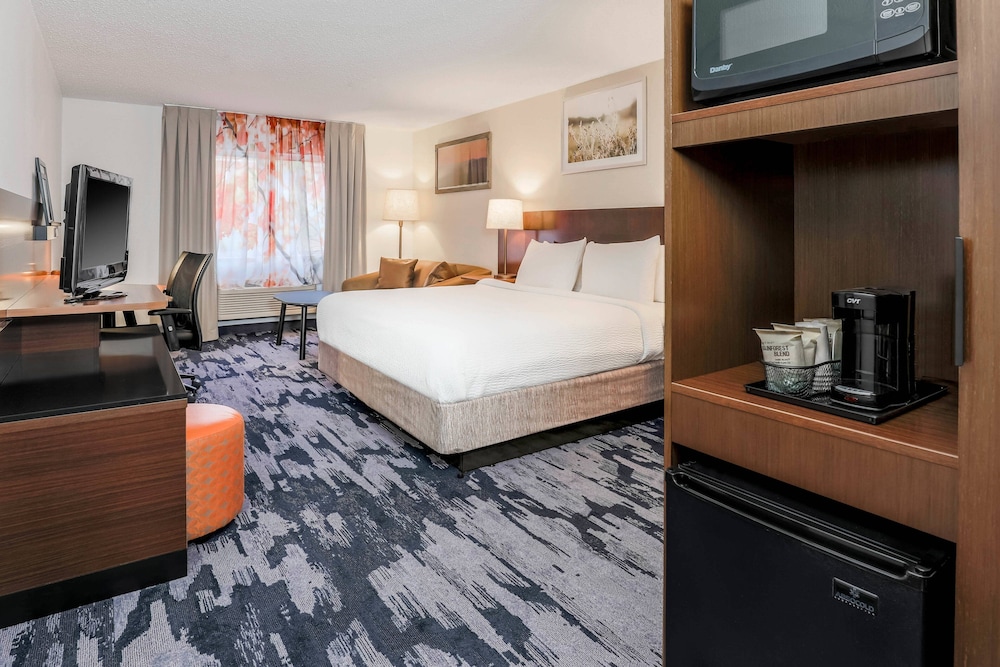 Executive Suite, 1 King Bed with Sofa bed