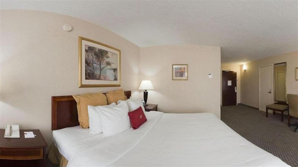 Standard Room, 1 King Bed, Non Smoking