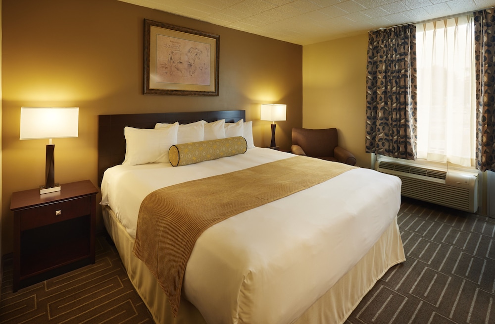 Lodge, 1 King Bed