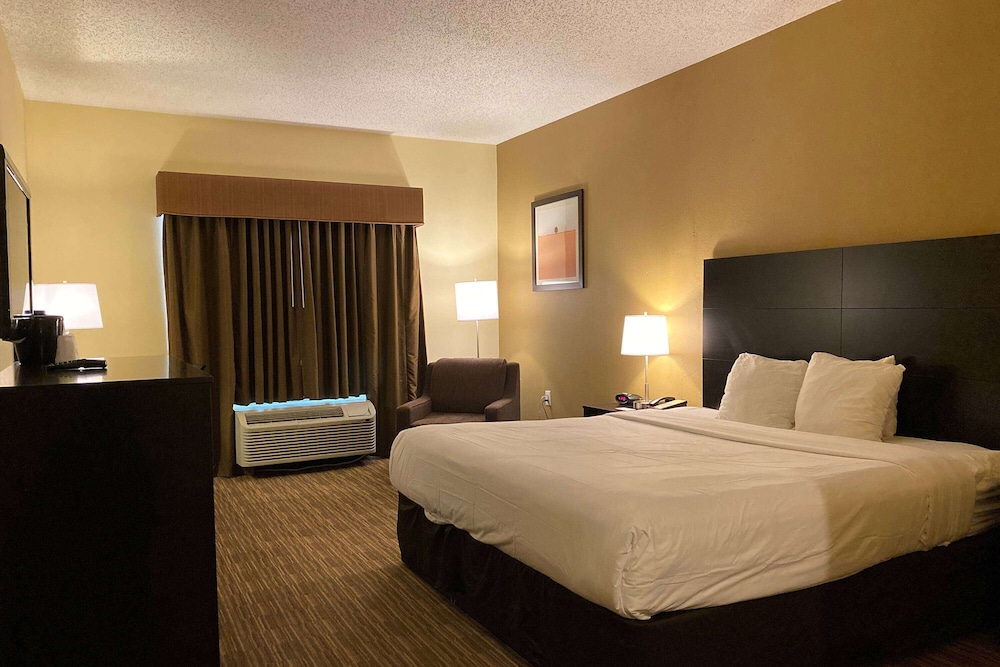 Room, 1 King Bed, Non Smoking