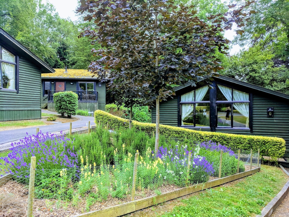 Room, 2 Bedrooms, Kitchen, Garden Area (Woodland Lodge) photo 3