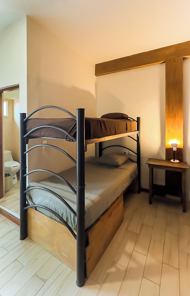 Basic Shared Dormitory photo 1