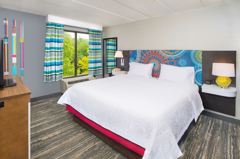 Suite, 1 Bedroom, Accessible, Kitchen (Roll-in Shower) - Photo 2