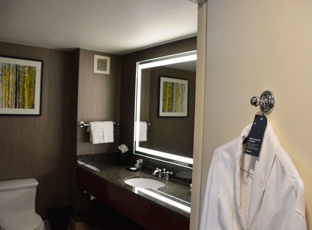 Executive Suite, 1 Bedroom, Mountain View - Photo 5
