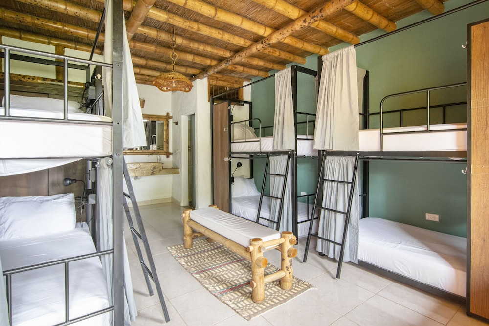 Family Quadruple Room, Multiple Beds photo 1