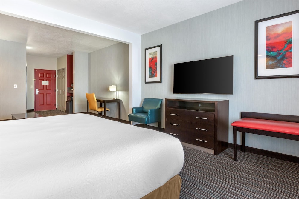 Suite, 1 King Bed, Non Smoking, Refrigerator & Microwave (with Sofabed) photo 2