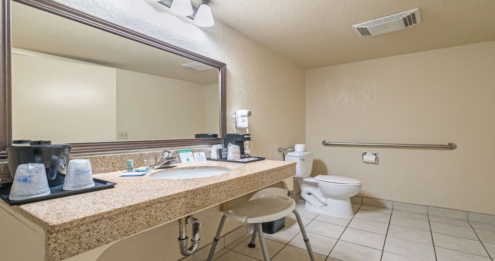 Standard Room, 1 King Bed, Accessible, Refrigerator & Microwave - Photo 6