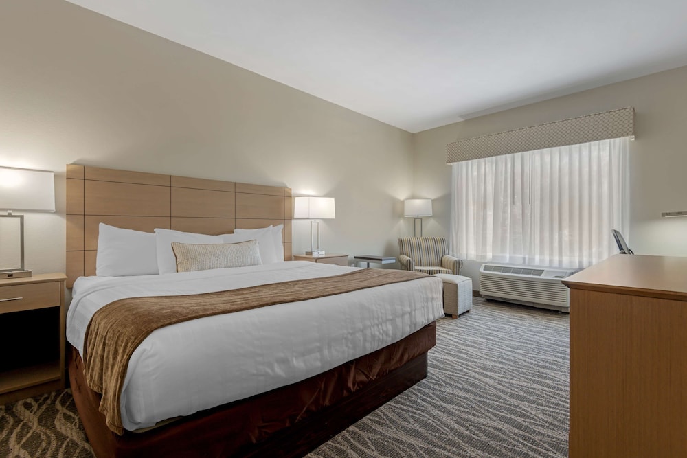 Standard Room, 1 King Bed, Refrigerator & Microwave - Photo 3