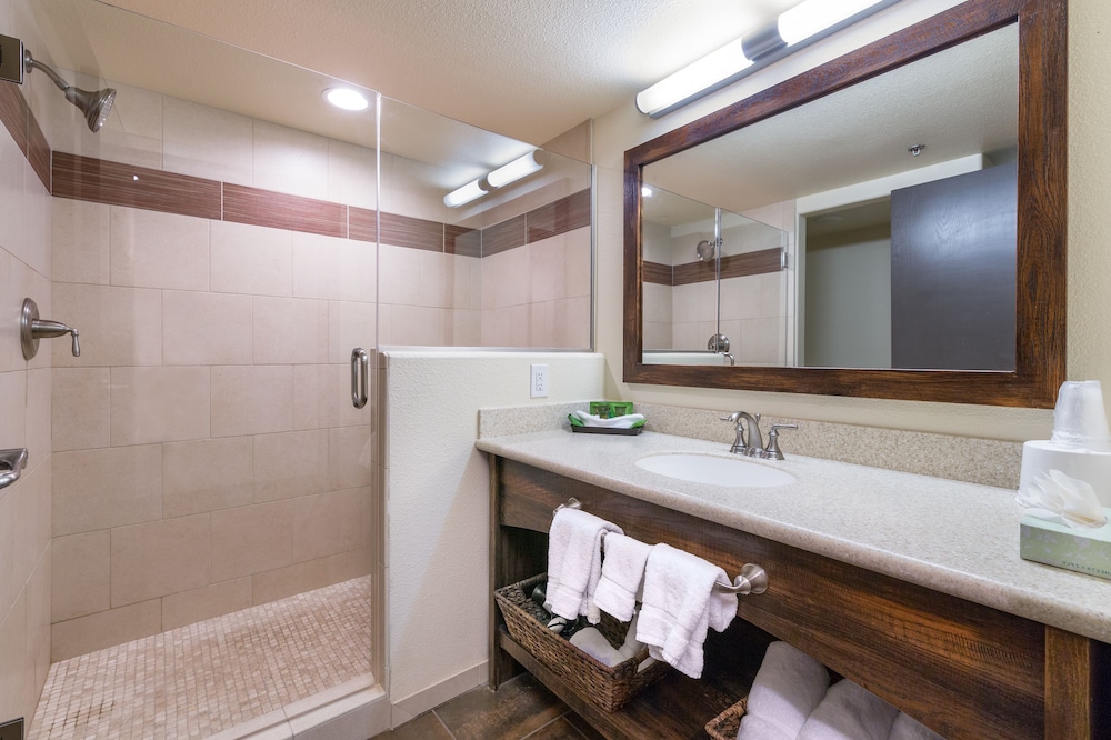 Deluxe Room, 1 King Bed, Lake View - Photo 3