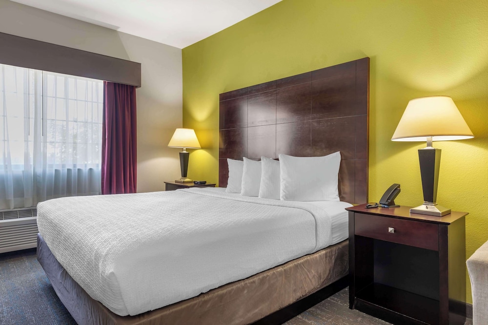 Standard Room, 1 King Bed, Non Smoking, Refrigerator & Microwave - Photo 3