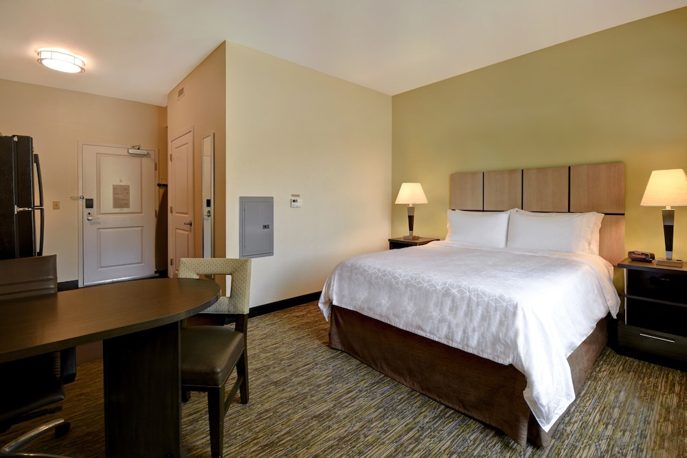 Studio Suite, 1 Queen Bed photo 3