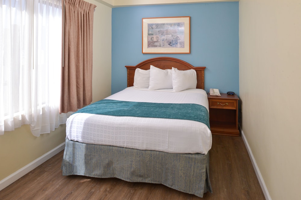 Luxury Suite - Photo 1