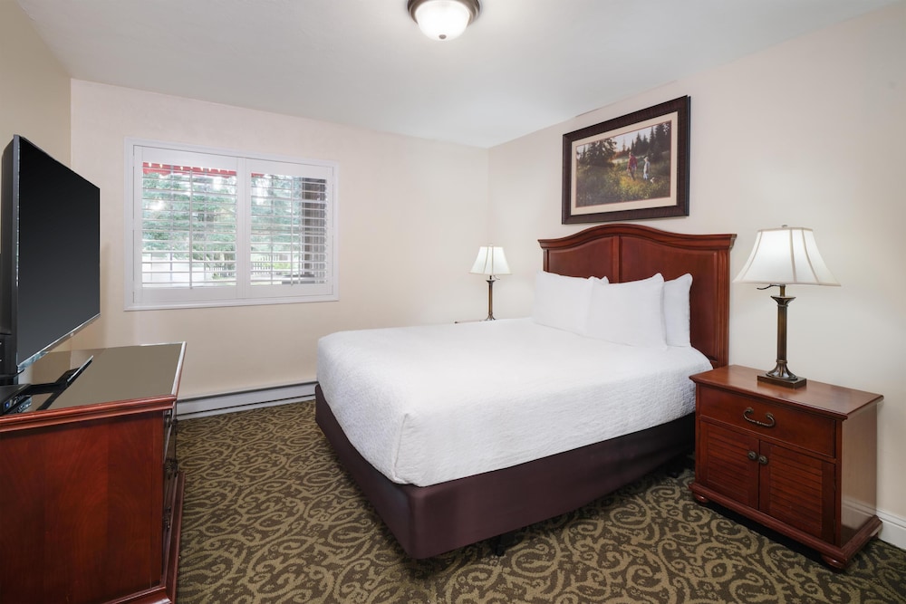 Suite, 1 Queen Bed, Non Smoking, Kitchen (LV Rm;w/Single Sofabed, Full Kitchen) photo 2