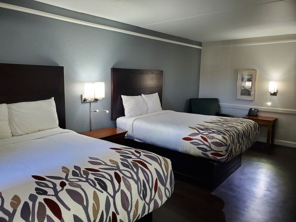 Standard Double Room, Accessible Bathtub, Non Smoking photo 3