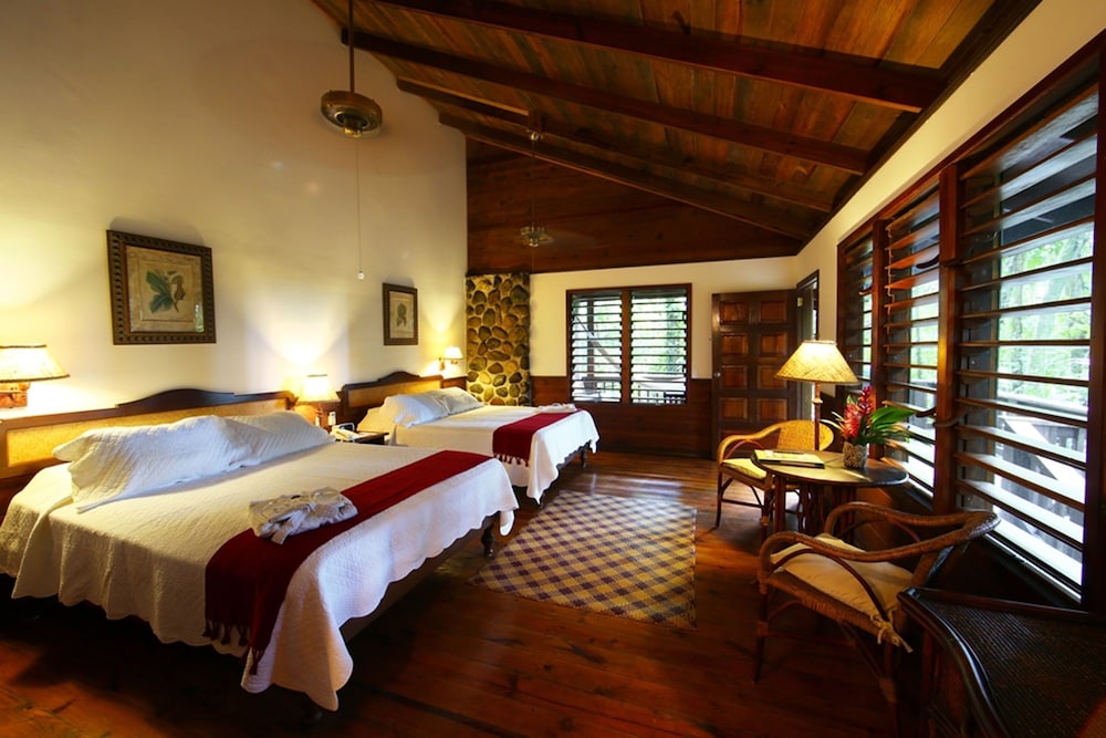 Premium Room, 1 Bedroom photo 1
