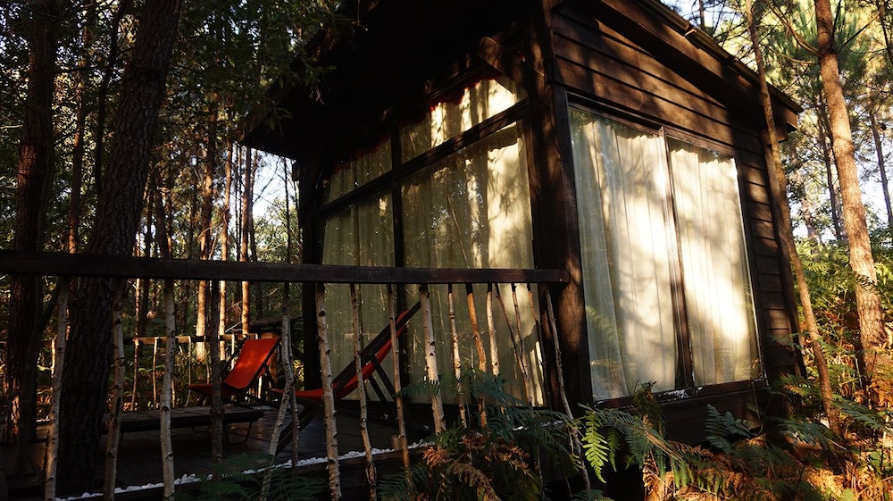 Bungalow (L'O2) photo 2