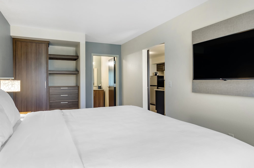 Deluxe Suite, 1 King Bed with Sofa bed, Accessible, Non Smoking (Roll-In Shower, Efficiency) photo 3