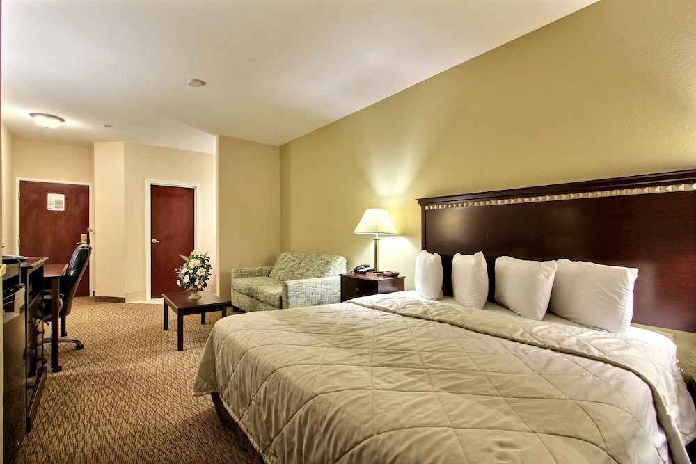 Suite, 1 King Bed with Sofa bed, Non Smoking - Photo 1
