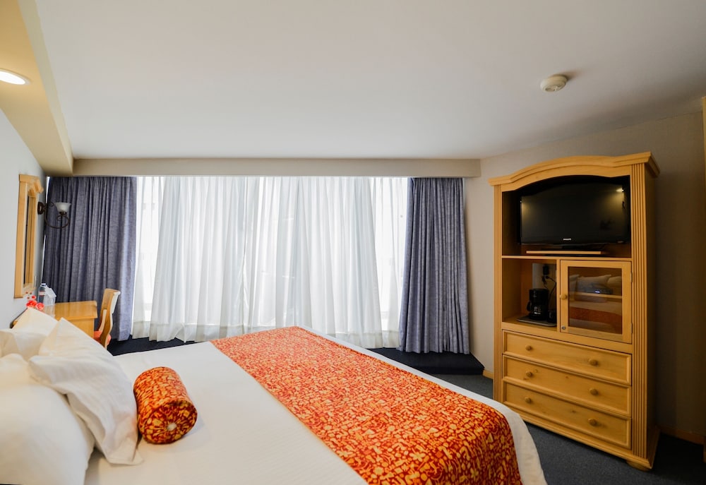 Room (Cama King) - Photo 10