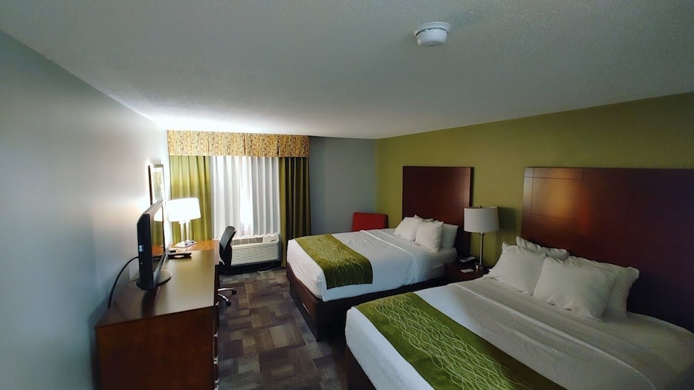 Basic Studio Suite photo 2