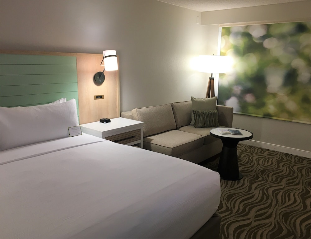 Room, 1 King Bed, Accessible (Mobility, Roll-In Shower) (Exterior Entry) photo 2