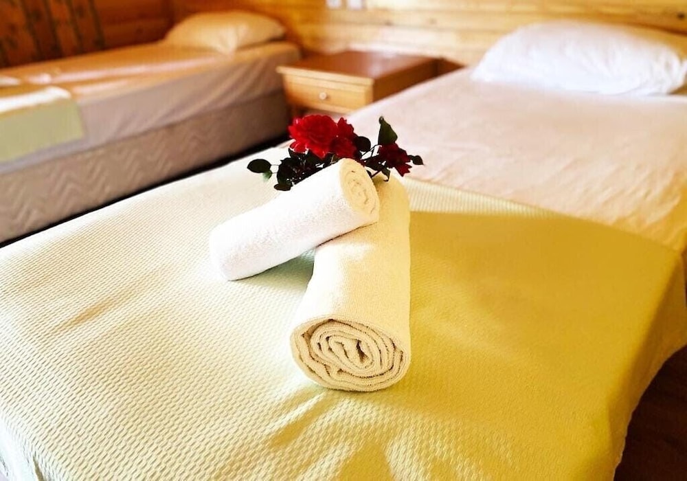 Standard Double Or Twin Room photo 1
