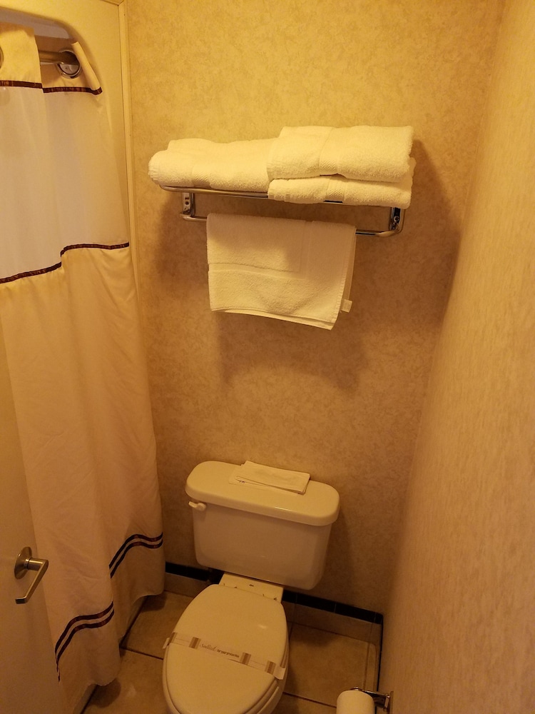 Standard Room, 1 King Bed photo 3