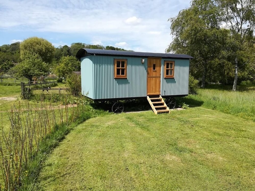 Family Cabin photo 1