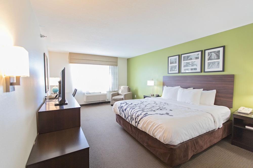 Standard Room, 1 King Bed, Non Smoking - Photo 6