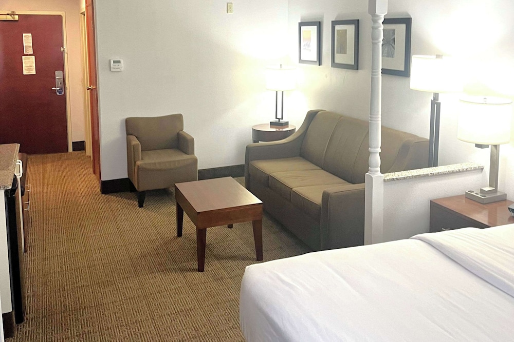 Suite, 1 King Bed with Sofa bed, Non Smoking - Photo 1