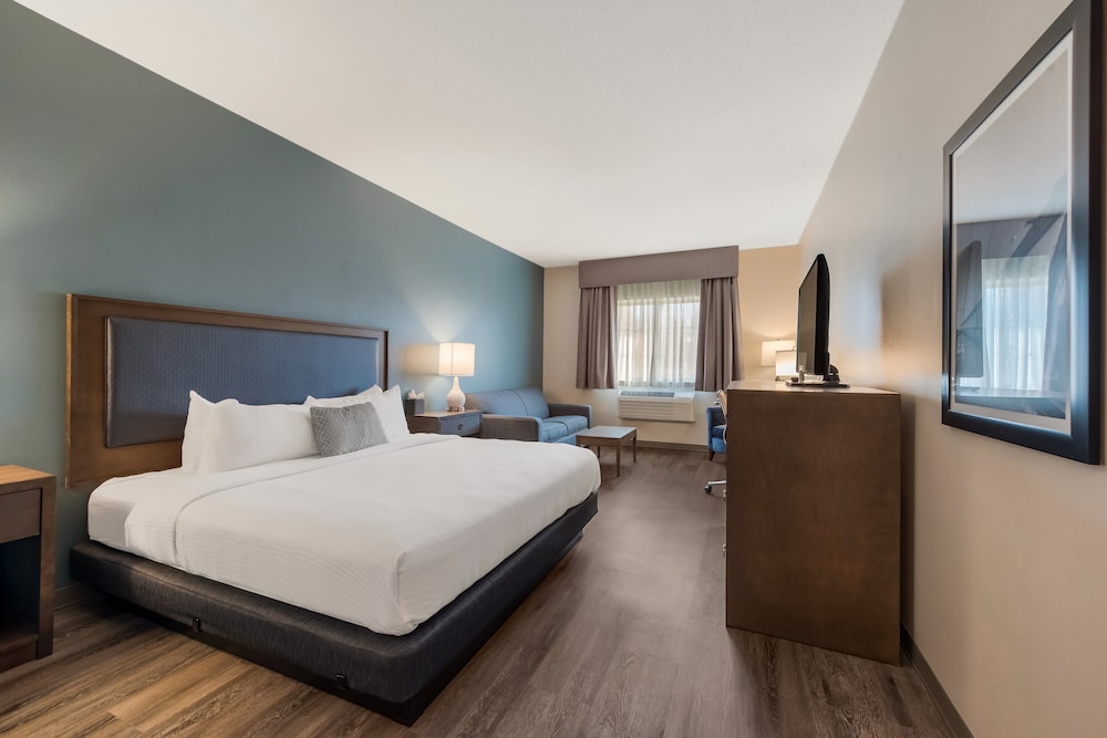 Standard Room, 1 King Bed, Non Smoking, Refrigerator (with Sofabed) - Photo 1