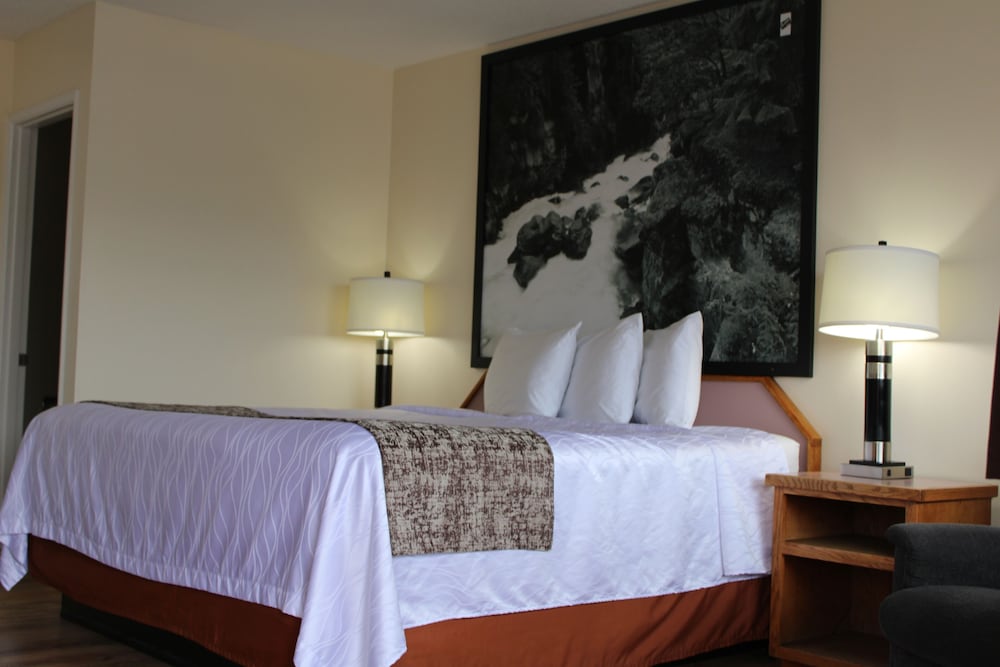Room, 1 Queen Bed, Non Smoking photo 1
