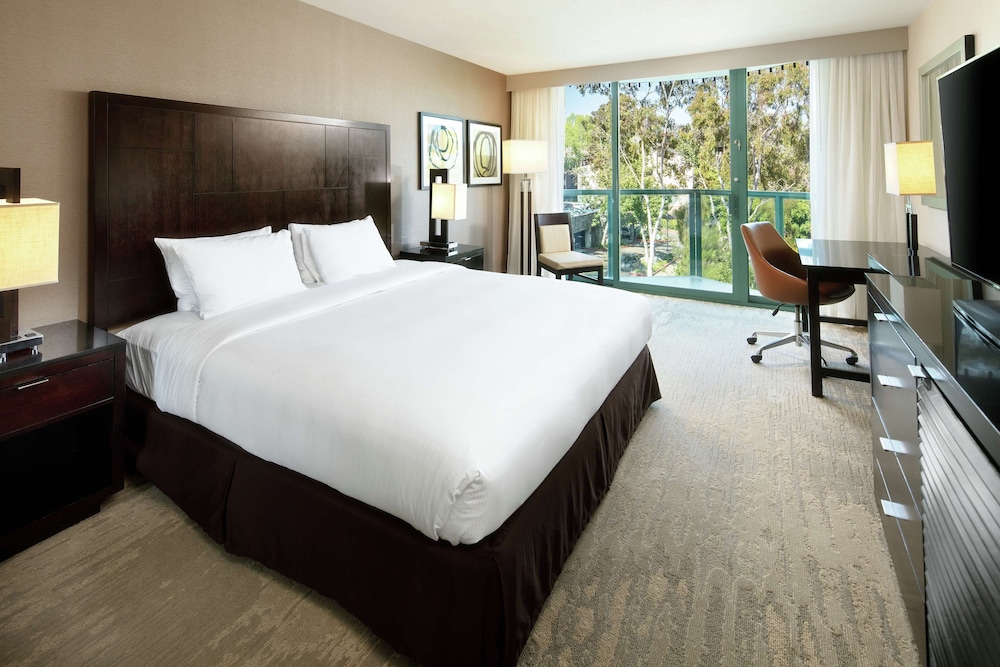Room, 1 King Bed, Accessible