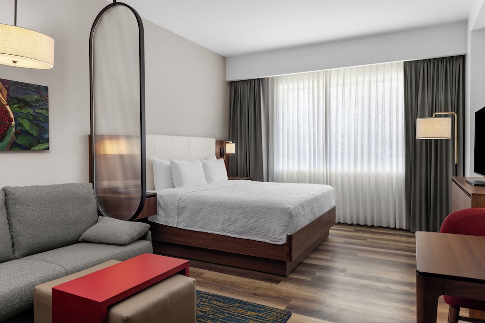 Studio Suite, 1 King Bed, Kitchen