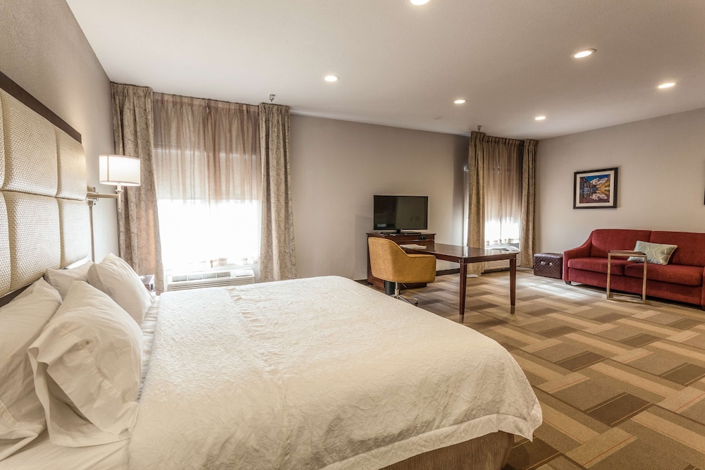 Suite, 1 King Bed, Non Smoking - Photo 3