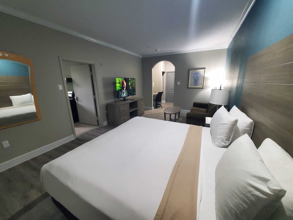Deluxe Studio Suite, 1 King Bed photo 3