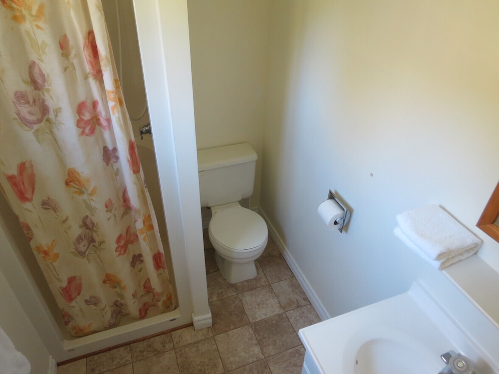 Classic Cabin, 2 Double Beds, Non Smoking, River View photo 3