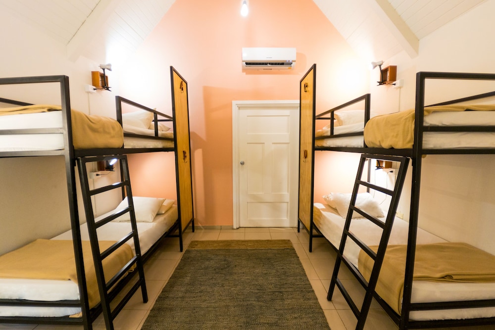 Bed in 4-Bed Dormitory Room photo 1
