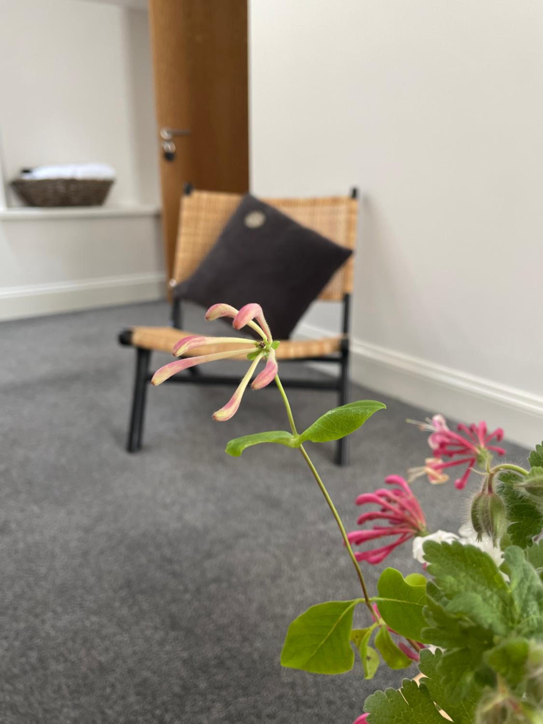 Double Room with Garden View - Photo 8